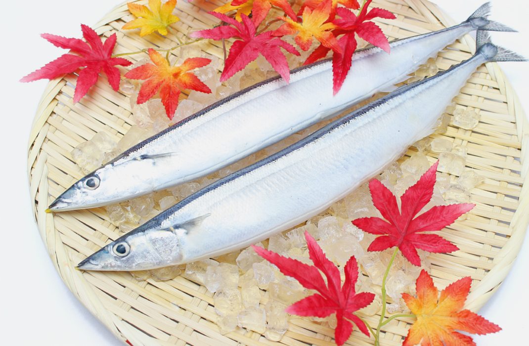 171017秋刀魚